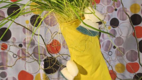Ein gelber Handschuh mit frischen Kräutern steht als kreatives Geschenk zur Hauseinweihung vor einem bunten Hintergrund.