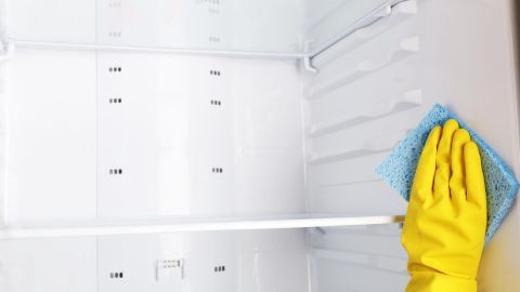 Ein Handschuh tragende Hand reinigen die Innenwand eines Kühlschranks mit einem blauen Tuch, während das Thermostat sichtbar ist.