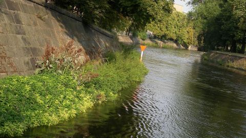 Eine ruhige Wasserstraße fließt sanft vorbei, umgeben von grünem Uferbewuchs in einer städtischen Umgebung.