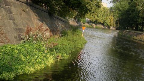 Geschenk für Senioren: Tour durch die eigene Stadt