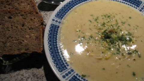 Feine Chicoree-Creme-Suppe