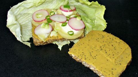 Ein Käsebrot liegt auf einer dunklen Fläche, belegt mit Radieschen und Frühlingszwiebeln, umgeben von Salatblättern.