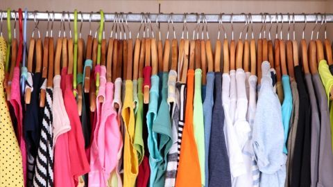 Bunt gekleidete Oberteile hängen ordentlich an Holzkleiderbügeln in einem aufgeräumten Kleiderschrank, um Kleidermotten fernzuhalten.