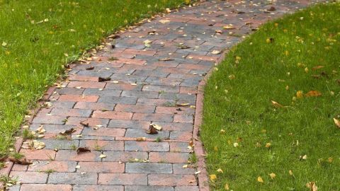 Ein gepflasterter Weg schlingt sich durch grüne Wiesen, bedeckt mit Herbstlaub, das mit einem Industriestaubsauger entfernt wird.
