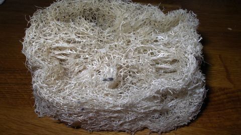 Eine Luffagurke, texturiert und beige, liegt auf einem Holztisch und könnte zur Körperpflege genutzt werden.