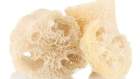 Naturschwämme liegen auf einem weißen Hintergrund, ideal für die Hautpflege, um eingewachsene Haare in der Bikinizone zu vermeiden.