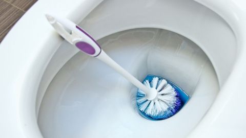 Eine WC-Bürste steht in einer Toilette und reinigt das Wasser mit blauer Flüssigkeit, um Sauberkeit zu gewährleisten.