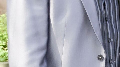 Ein eleganter Anzug wird präsentiert, während die Person vor einem Hintergrund aus Pflanzen steht und sich auf ein Gespräch vorbereitet.