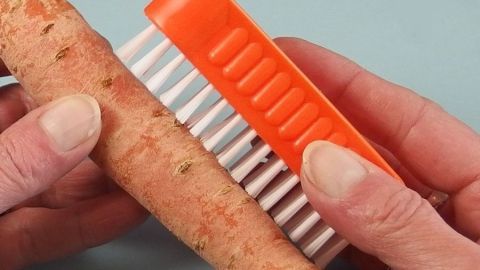Eine Hand hält eine Möhre, während sie mit einer Bürste gereinigt wird, um Schmutz zu entfernen, an einem hellen Hintergrund.