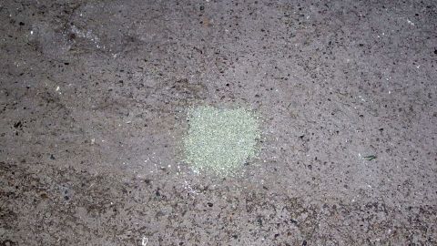 Mit Katzenstreu lassen sich Ölflecken auf Garagenboden oder Steinböden gut entfernen. Eine klumpige, grüne Katzenstreu wird auf einem Garagenboden verteilt, um einen Ölfleck zu entfernen. Der Boden ist aus grobem Stein.