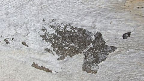 Auf einer Wand ist verfließter Putz sichtbar, der sich löst. Behandeln Sie die Fläche vorher mit Fliesenkleber.