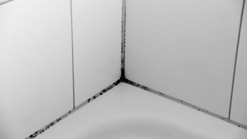 In einer Duschkabine sieht man schmutzigen Silikonfugen in der Ecke, die erneuert werden müssen, um Schimmel zu vermeiden.