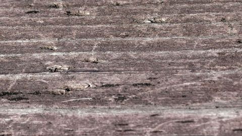Mit Wasserdampf Druckstellen aus Holz entfernen.