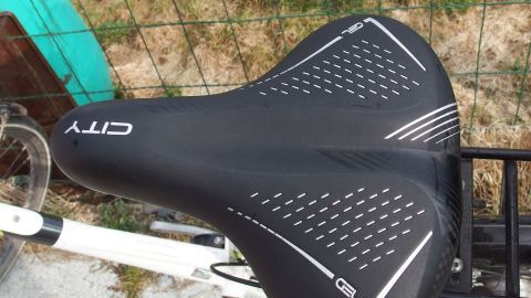 Ein schwarzer Fahrradsattel liegt auf einem Fahrrad, umgeben von Gras und einem Zaun, wirkt wenig genutzt und trocken.