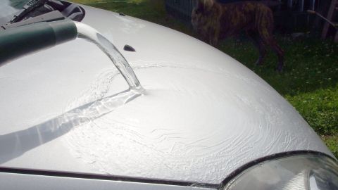 Ein Auto wird mit Regenwasser gewaschen, während ein Hund im Hintergrund entspannt. Gras und Sonne umgeben die Szene.