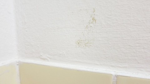 Ausbesserung von (kleinen) Flecken / Macken an Wänden