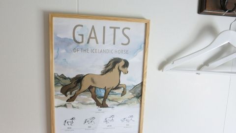 Ein gerahmtes Bild eines Pferdes, das die Gänge zeigt, hängt an einer Wand, während ein Kleiderbügel daneben hängt.