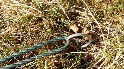 Eine preiswerte Alternative zu Zeltheringen sind rund 15 cm lange Fleischspieße. Fleischspieße liegen in einer Wiese, während eine Zeltleine mit einem Ring in den Boden befestigt wird.