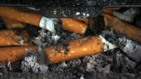 Zigarettenkippen qualmen nicht im Auto-Aschenbecher