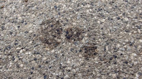 Ein Garagenboden mit dunklen Ölflecken zeigt die Auswirkungen von Verschmutzungen, die durch Cola entfernt werden sollen.