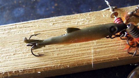 Ein Angelköder liegt auf einem Holzbrett, bereit zum Einsatz, um mit Zucker mehr Fische zu fangen.