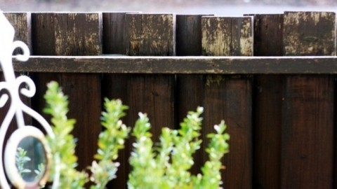 Zäune, Trennwände & andere Holzteile im Außenbereich wiederbeleben