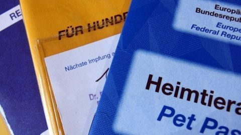 Mehrere Heimtierpässe liegen übereinander; einer zeigt „Heimtierausweis Pet Passport“, ein anderer „FÜR HUNDE“.