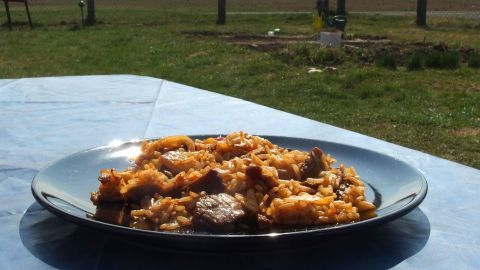 Auf einem Tisch im Freien steht ein schwarzer Teller mit Reis und Fleisch. Im Hintergrund sind Wiesen und Bäume sichtbar.