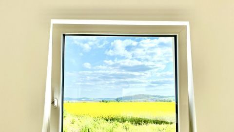Ein modernes Fenster zeigt eine malerische Landschaft mit einem blühenden Feld und blauem Himmel.