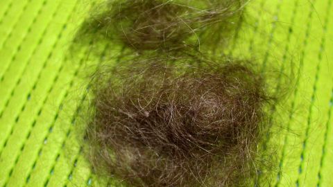 Diese Haare halten Marder auf große Distanz, Minimum bis zum Nachbarn, denn der Marder kann sie nicht ausstehen. Ein Haufen menschlicher Haare liegt auf einem hellgrünen Untergrund, der zur Abwehr von Mardern eingesetzt wird.