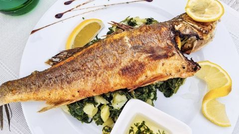Gegrillter Fisch liegt auf einem weißen Teller, umgeben von Zitronenscheiben und frischem Gemüse.