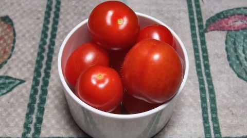 Saftige Tomaten befinden sich in einer weißen Schüssel auf einem gemusterten Tisch. Sie strahlen Frische und Pracht aus.