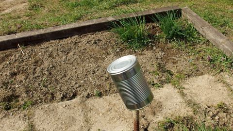 So vertreibst du Maulwurf & Wühlmaus sicher aus deinem Garten: Man benötigt nur ein ca. 50 cm langes Metallstängchen und eine leere Dose. Der Wind erledigt dann den Rest. Ein Metallbehälter steht auf einem Gartenbeet und könnte dazu dienen, Maulwurf und Wühlmaus mit Wind zu vertreiben.