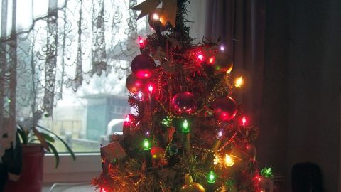 Ein festlich geschmückter Christbaum leuchtet bunt im Raum, während winterliches Licht durch das Fenster strömt.
