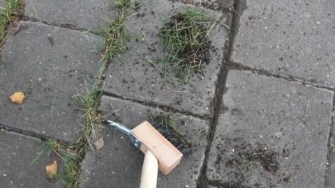 Ein Handwerkzeug entfernt Unkraut mechanisch zwischen Pflastersteinen, um einen Gehweg sauber zu halten.