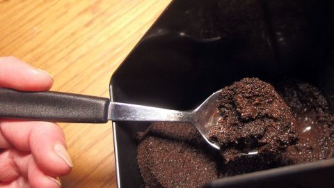 Wer Kaffee oder Tee trinkt, sollte die Reste davon zum Bekämpfen von Blatt- oder Schildläusen verwenden. Eine Hand hält einen Löffel, der mit frischem Kaffeepulver gefüllt ist, in einem Behälter aus schwarzem Material.