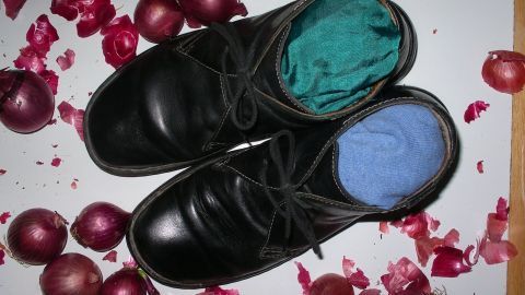 Schwarze Glattlederschuhe liegen auf einem Untergrund, gefüllt mit bunten Socken, um sie zu formen, umgeben von roten Blütenblättern.