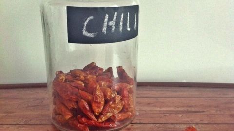 Ein Glas mit getrockneten Chilis steht auf einem Holztisch, während einige Chilis daneben liegen, ideal zum Chili schneiden.