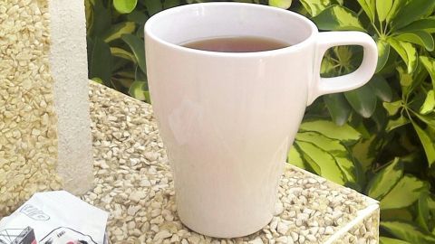 Ein weißer Kaffeebecher steht auf einem Stein, während der frische Eukalyptustee bei warmem Wetter genossen wird.