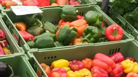 Bunte Paprika liegen in grünen Kisten auf einem Markt, darunter grüne, gelbe und rote Sorten, die zum Kauf einladen.