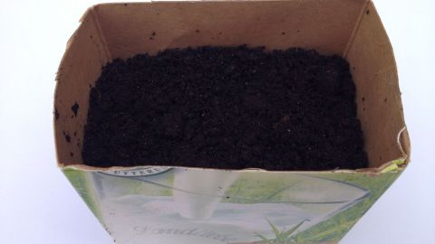 Ein Tetrapack, gefüllt mit Erde, dient als Blumentopf für Kräuteranpflanzung in einem hellen Umfeld.