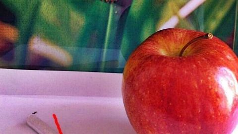 Ein roter Apfel liegt neben einer Zigarette, die mit einem roten X markiert ist, auf einer weißen Fläche.