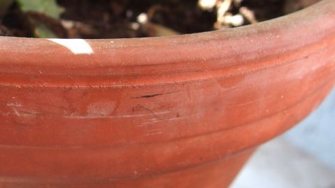 Dreckige Blumentöpfe? Verschmutzter Grill oder Tomatenflecken? Kein Problem, hier kommen die Lösungen dazu. Ein Blumentopf aus Ton steht in einem hellen Raum, zeigt leichte Verunreinigungen und ist mit Erde gefüllt.