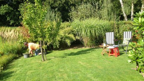 Im gepflegten Garten steht ein rotes und ein gestreiftes Sitzkissen, während ein Hund in der Nähe umherläuft.