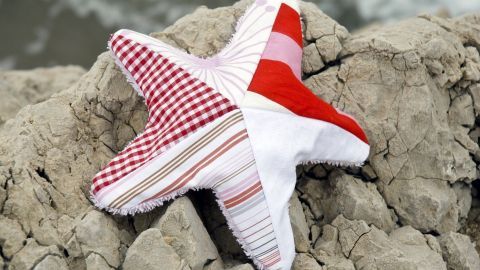Ein Körnerkissen in Form eines Sterns liegt auf einem Felsen am Strand, umgeben von Wasser und Sandschichten.