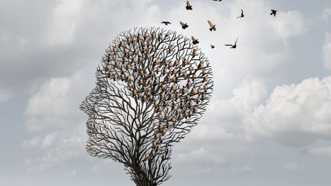 Ein Baum in Form eines Kopfes steht auf einer Wiese, während Vögel in den Himmel fliegen, symbolisiert Gedanken und Freiheit.
