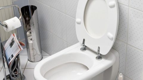 Ein weißes Toilettenbecken steht in einem sauberen Badezimmer mit blauer Badematte daneben und einem Toilettenpapierhalter im Hintergrund.