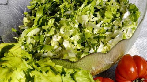 Ein frisch gehackter Endiviensalat liegt in einem Sieb, umgeben von reifen, roten Tomaten auf einer hellen Oberfläche.