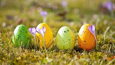 Bunte Ostereier liegen auf frischem Gras, umgeben von violetten Krokussen, die das fröhliche Osterfest symbolisieren.