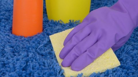 Ein lila Einweghandschuh wischt mit einem Schwamm über einen blauen Teppich, während zwei Reinigungsflaschen daneben stehen.
